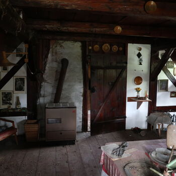 A grove in the borderlands.