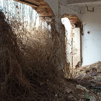 Lederfabrik und State Farm 2022