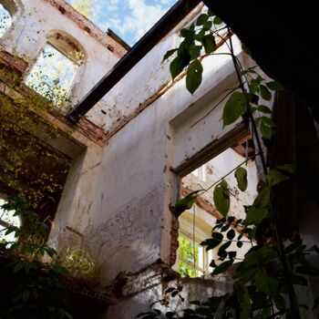 holubník budova přístřeší Architektura holubník budova přístřeší Architektura