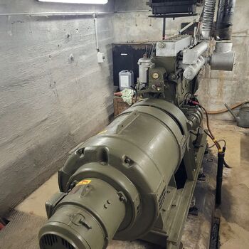 Štolák u velkého dubu.