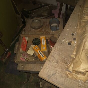 Cottage of Comrade Marie