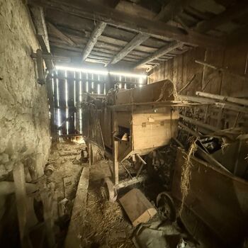 DDT, or the crocodile wasn't home