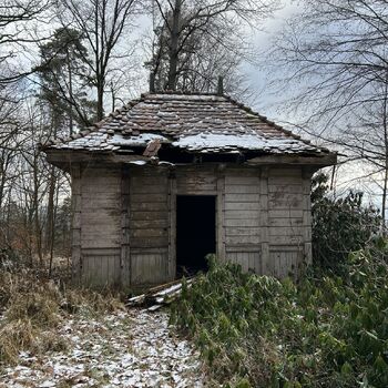 Heinrich Liebig's forest villa