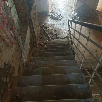 step support device architecture