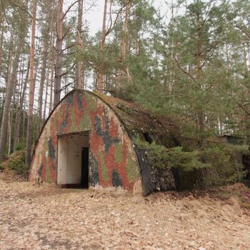 Maple 52 with swimming pool