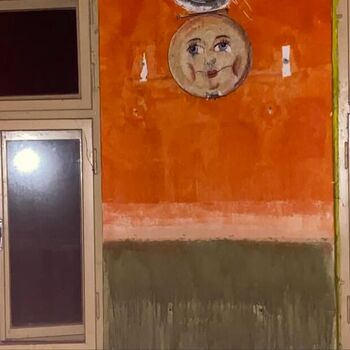 An abandoned children's home for the mentally handicapped! They abused the patients here.