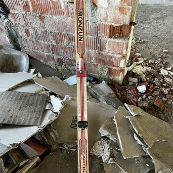 Timber production 2023