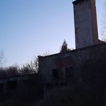 Calf (2025) Calf (2025)