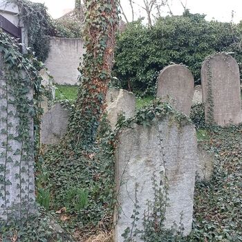 Jüdischer Friedhof 2024