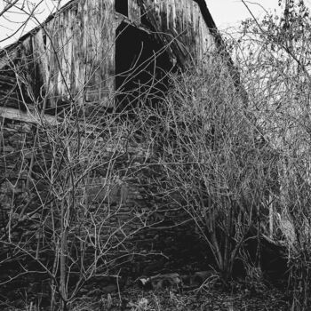 Zapomenuté stavení