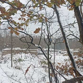 Verbrennungsanlage für gefährliche Abfälle 2023 Verbrennungsanlage für gefährliche Abfälle 2023