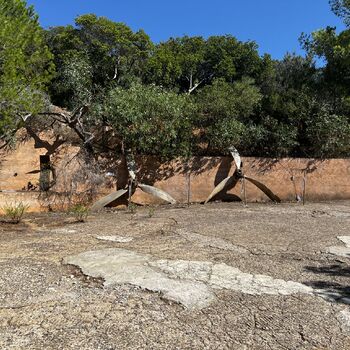 Former camp Corsica 2023