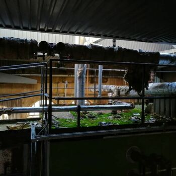 Verlassene Möbelfabrik