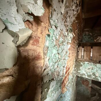 Kde holubi chodí pěšky