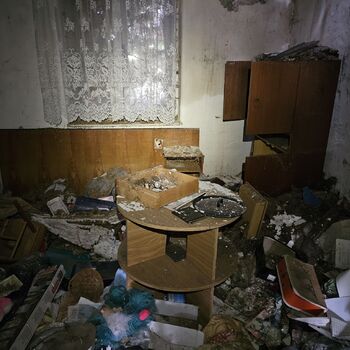 Das Haus beim Plüschtier.