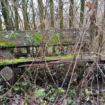 Vechtrovny - Koukni na video..