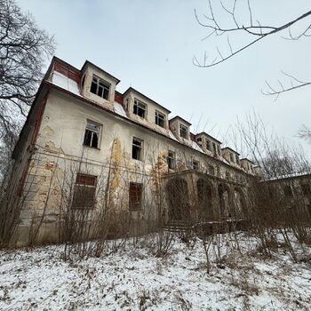 Aunt Omega, or I Believe in Fairies