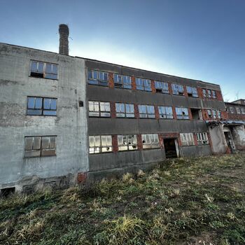 Timber production 2023