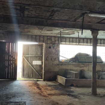 Abandoned farm building_2025