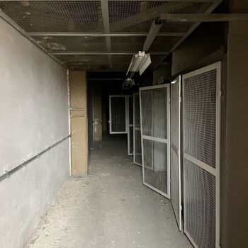 ｖýｔｏｐｎａ