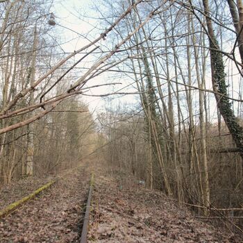 Paper mill siding Paper mill siding