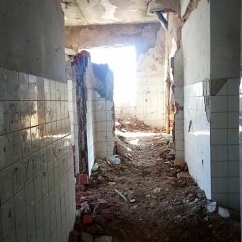 cell wall old architecture