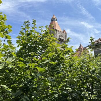 Barracks Hungary 2024