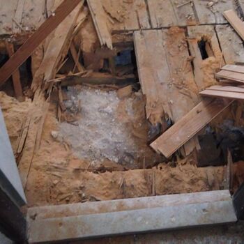 Urbex - Krysi-Schloss 2024