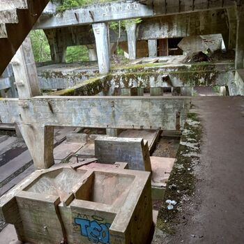 Krušné hory - Rolava