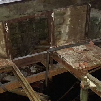 Calf (2025) Calf (2025)