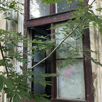 ✨ Old Brewery ✨ Old Brewery