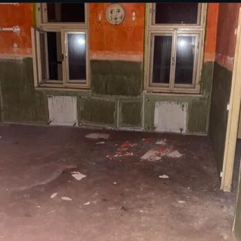 An abandoned children's home for the mentally handicapped! They abused the patients here.