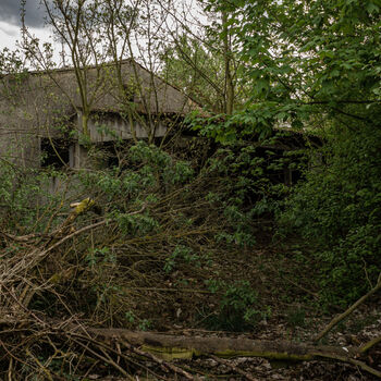 Pigsty and stables Pigsty and stables