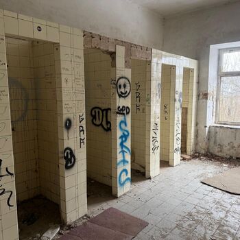 Aunt Omega, or I Believe in Fairies