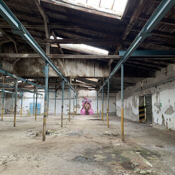 Factory for the production of primers Factory for the production of primers