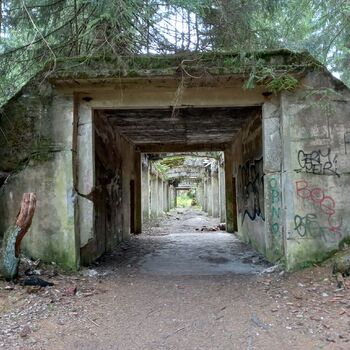 Krušné hory - Rolava