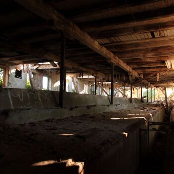 Landwirtschaftliche Fläche mit Hopfentrocknungsanlage 2023