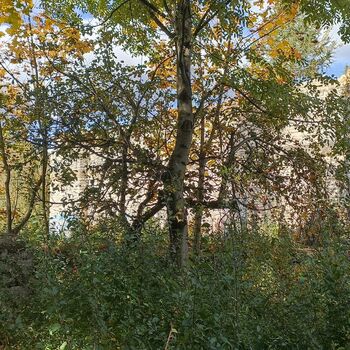 Mausoleum Poland 2022