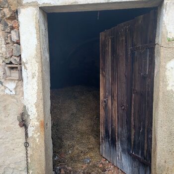 🐕‍🦺POZOR BAD DOG