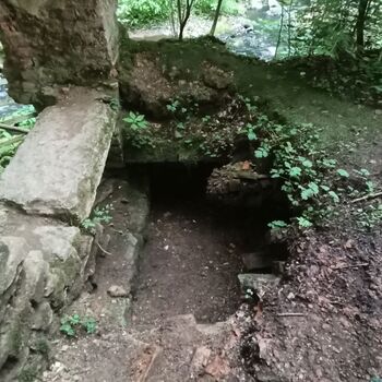ruins of the blue house