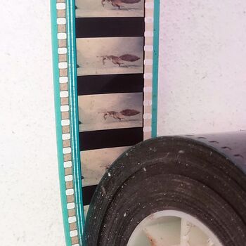 🎞 Summer cinema season is here.