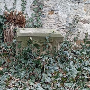 Friedhof 2022 Friedhof 2022