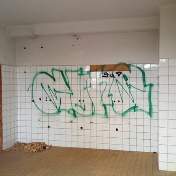 sgrafity dekorace sgrafity dekorace