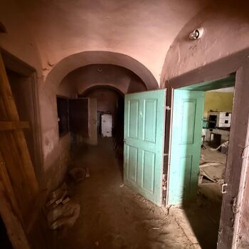 DDT, or the crocodile wasn't home