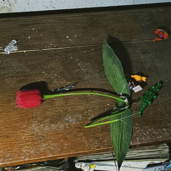 House with old Volga and big cross ✟ House with old Volga and big cross ✟