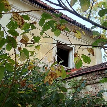 birdhouse shelter protective covering birdhouse shelter protective covering