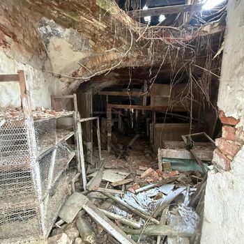 Aunt Omega, or I Believe in Fairies