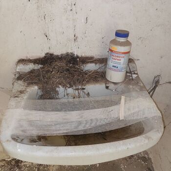 Abandoned house in the Highlands_2024