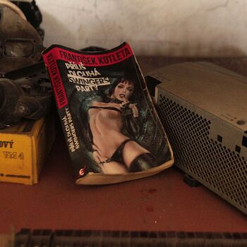 Pískové hospodářství, aneb příliš dlouhá swingers párty