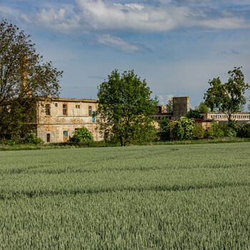 Landwirtschaftliche Fläche